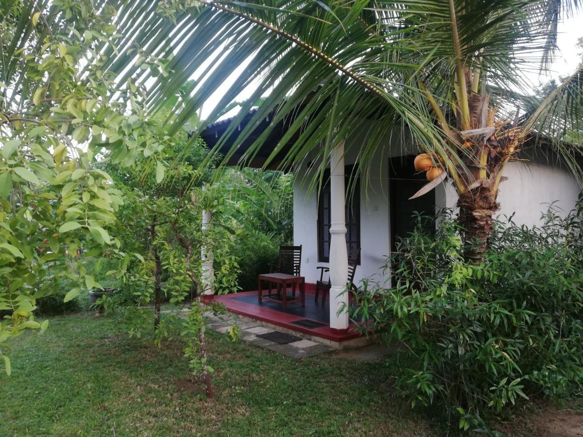Bay Hill Guest House Tangalle Εξωτερικό φωτογραφία