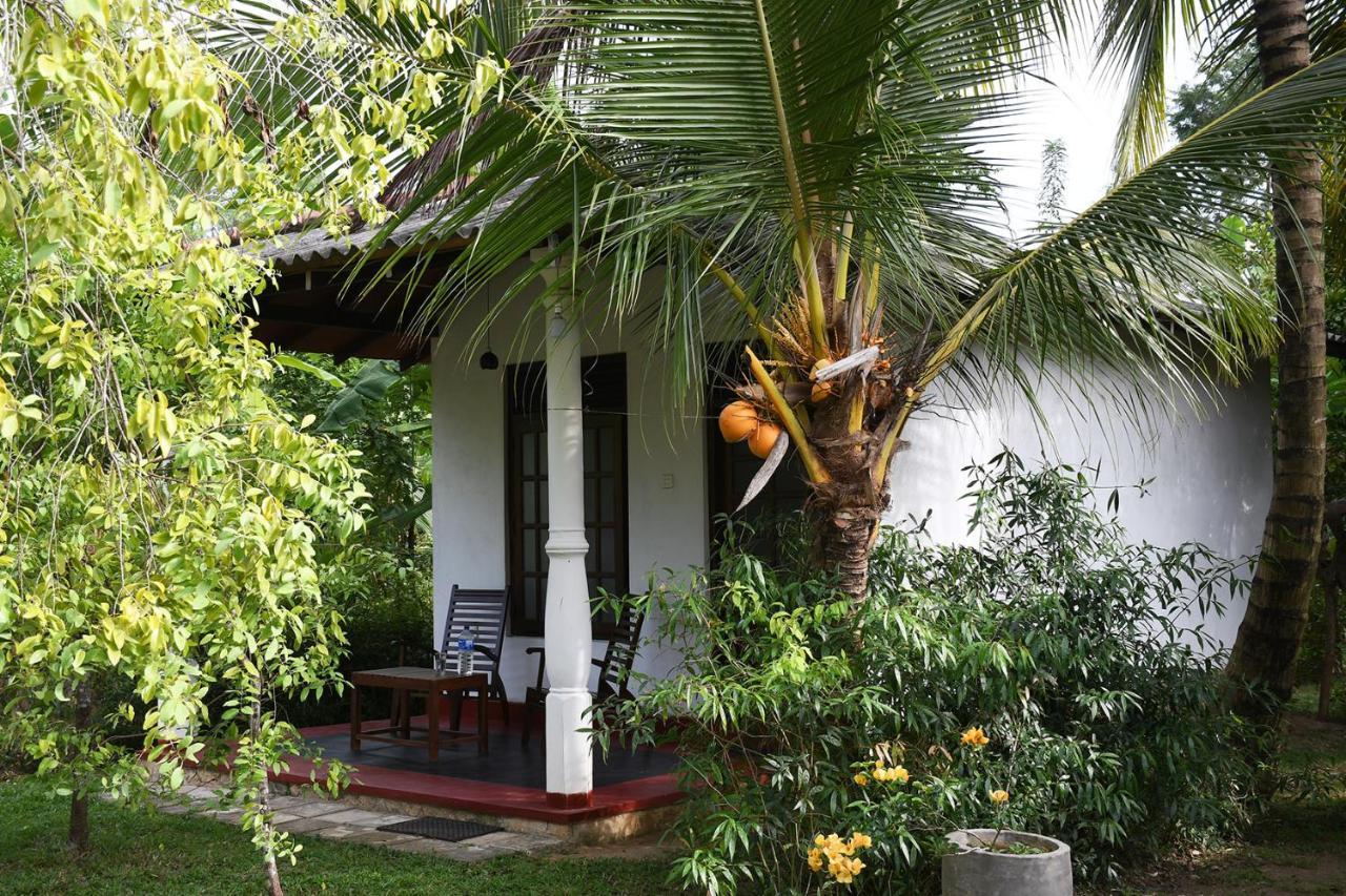 Bay Hill Guest House Tangalle Εξωτερικό φωτογραφία