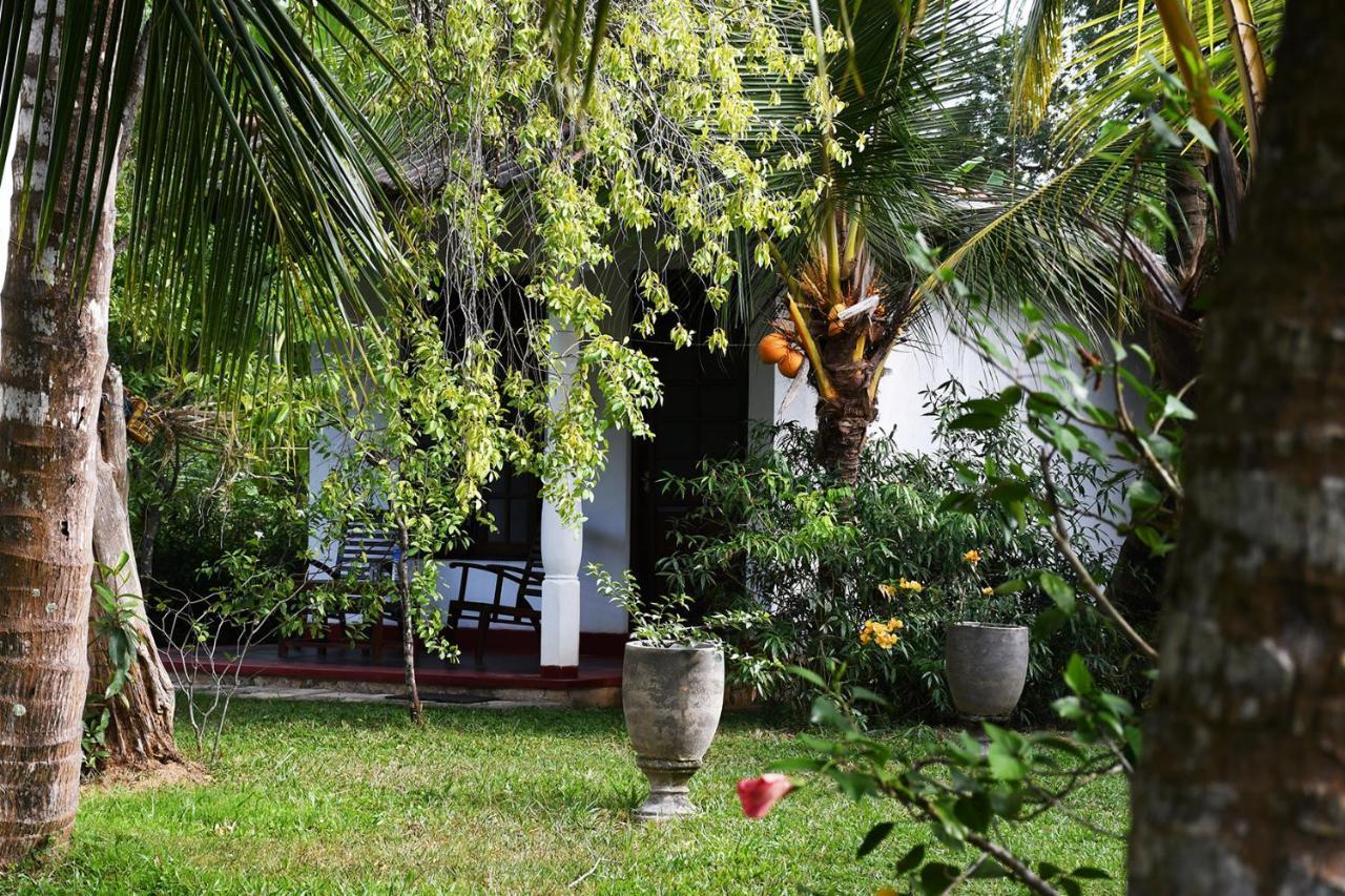 Bay Hill Guest House Tangalle Εξωτερικό φωτογραφία